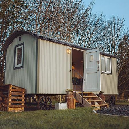 Shabby Shepherds Penrith Luaran gambar