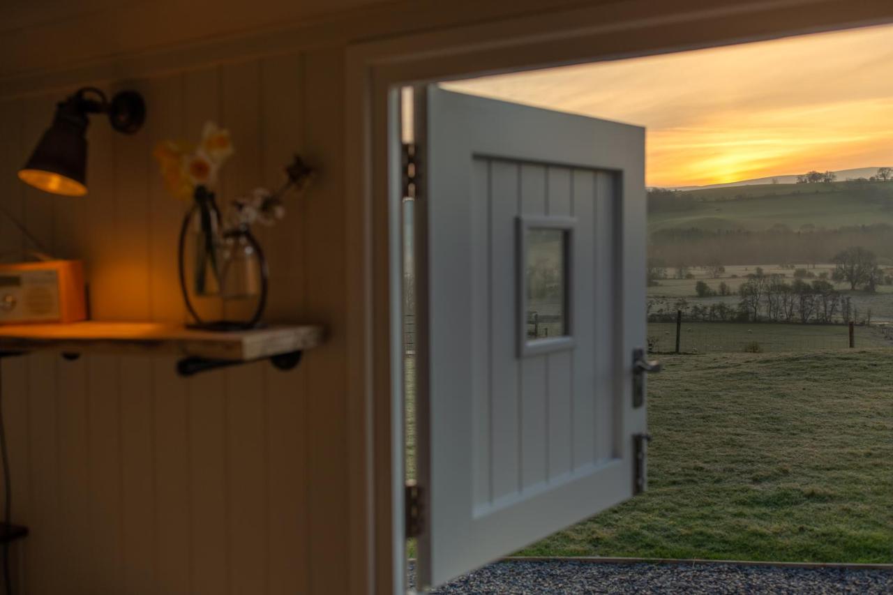 Shabby Shepherds Penrith Luaran gambar