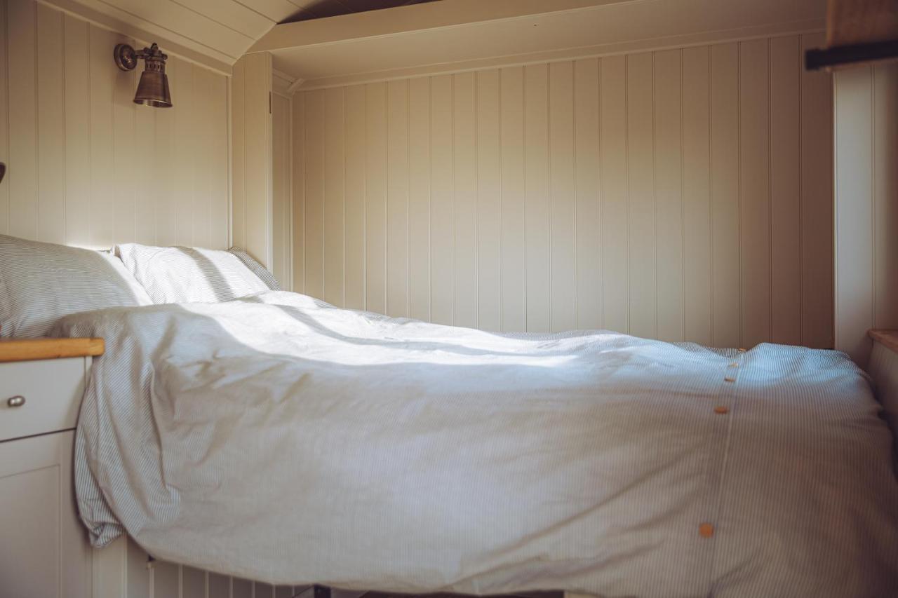 Shabby Shepherds Penrith Luaran gambar