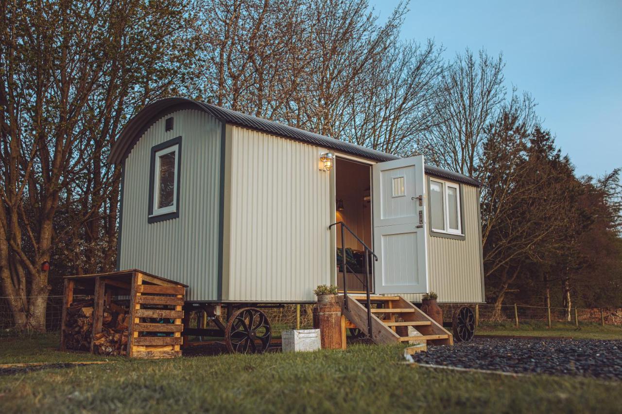 Shabby Shepherds Penrith Luaran gambar